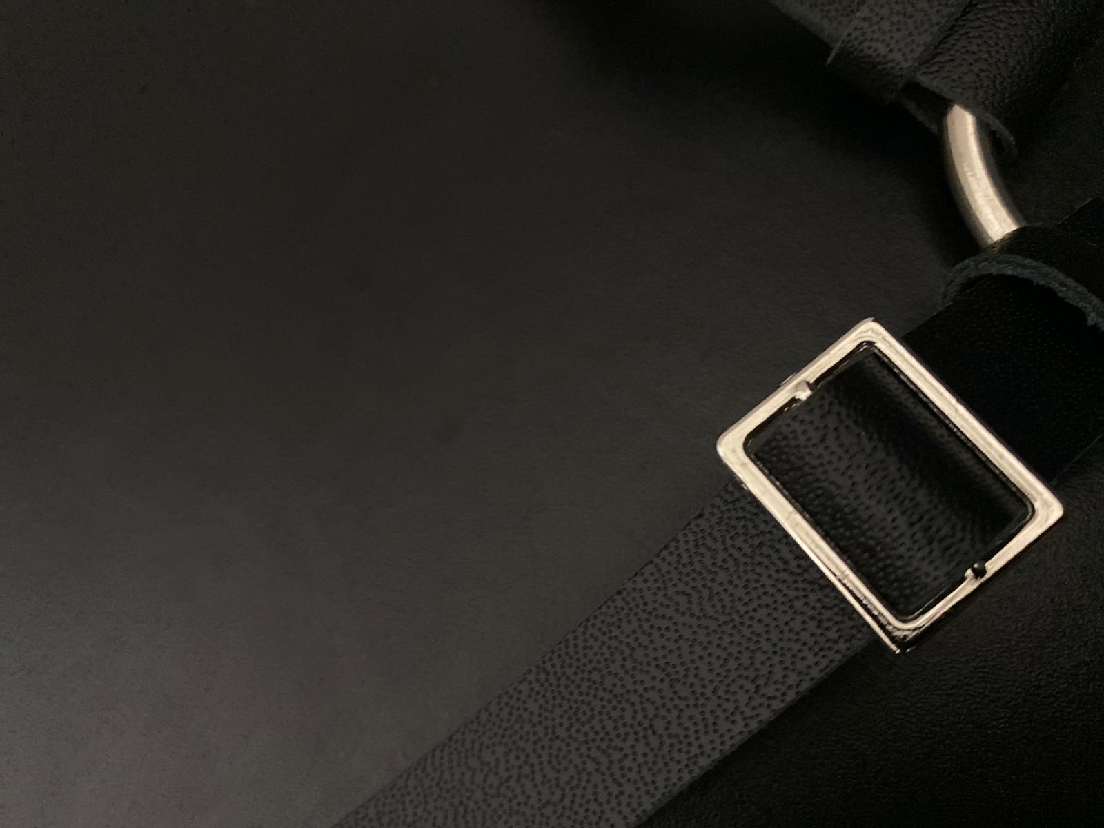 Elz Hurdy gurdy strap